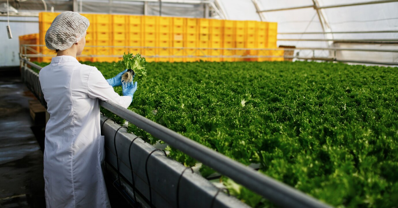 Agro Products